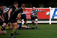 MGD_3597