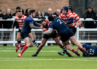 HRFC Brighton050119008