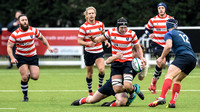 HRFC Brighton050119014