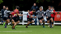 HRFC 120119007