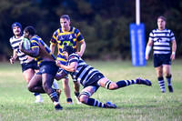 MGD_0055